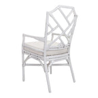 Kara Rattan Arm Chair