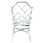 Kara Rattan Arm Chair